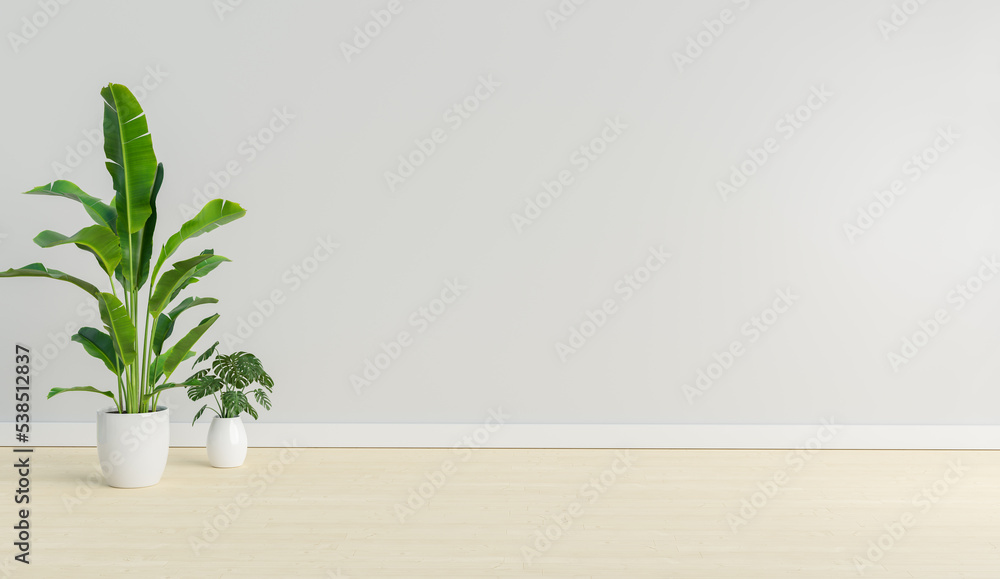 empty mock up room with plant, 3d illustration rendering empty mock up room with plant, 3d illustration rendering