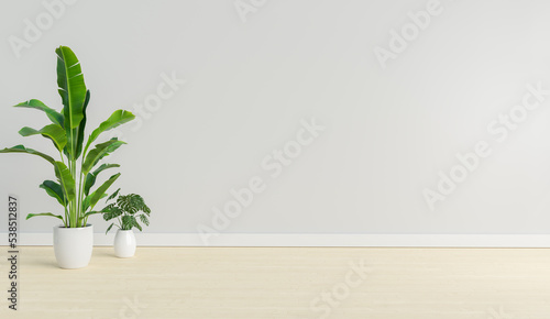 empty mock up room with plant, 3d illustration rendering © angkhan
