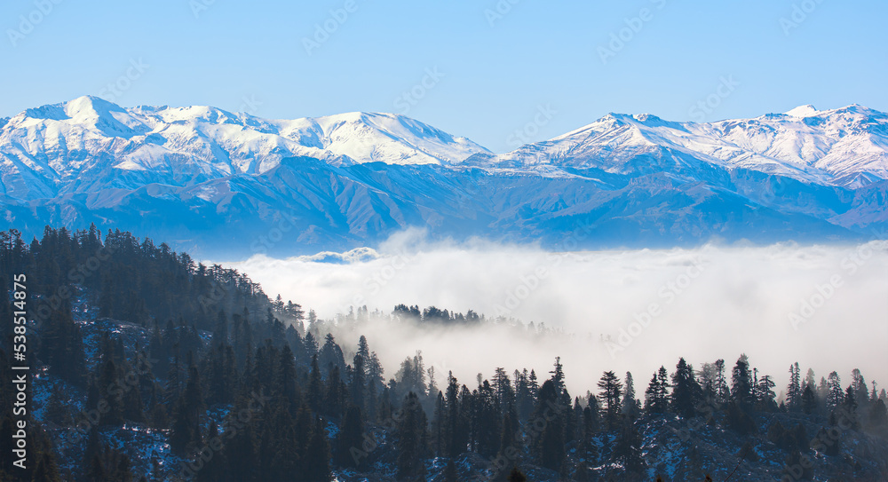 Fantastic view of cloudy winter landscape with snow covered mountains and pine tree forest
