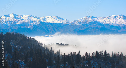 Fantastic view of cloudy winter landscape with snow covered mountains and pine tree forest © muratart