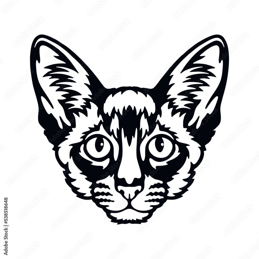 Balinese cat Vector, Peeking Cats, Cats Breed, Pet Vector portrait, Cats Head