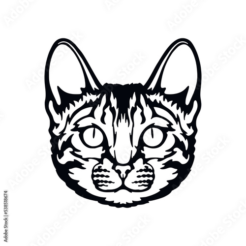 Bengal cat Vector, Peeking Cats, Cats Breed, Pet Vector portrait, Cats Head
