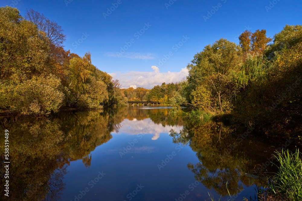 Pond surrounded by yellow trees in afternoon.