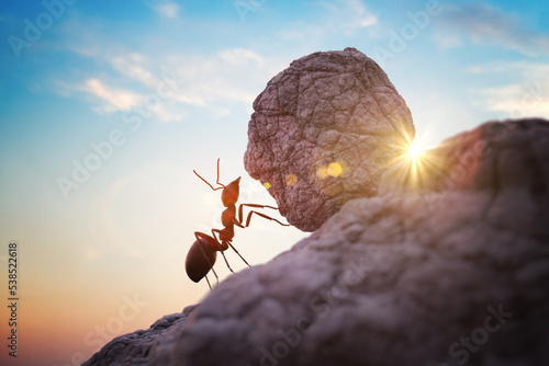 Photo Worker ant is pushing heavy boulder up on hill.