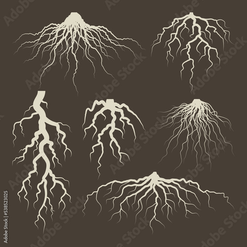 Various brown tree or shrub roots. Parts of plant, root system with tree stump. Dendrology, study of woody plants. Sketch drawing. Vector illustration