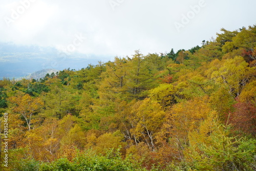 Could you get the temple and foliage in the background   