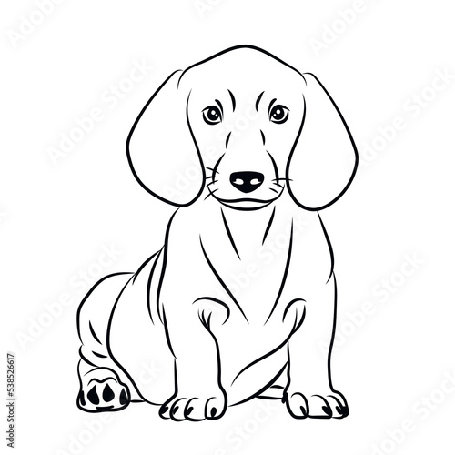 Dog Dachshund Beagle. Abstract  Line  Silhouettes. Chinese Calendar 1958  1970  1982  1994  2006  2018  2030  2042  2054  2066 years.