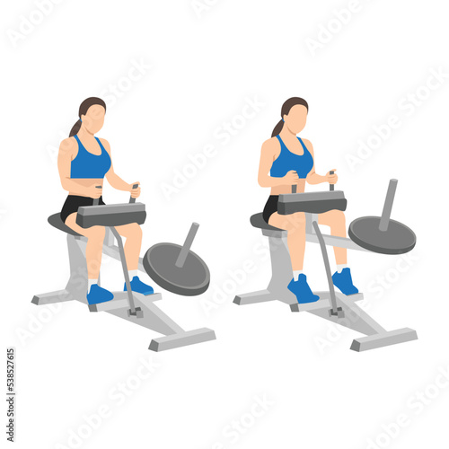 Woman doing exercise using gym equipment. Seated calf machine raises. Flat vector illustration isolated on white background