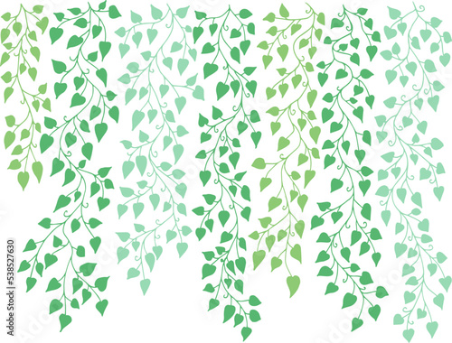 Wallpaper Mural Ivy vine silhouette isolated on white background. Vine plant. Black hanging vine with leaves. Spring or nature plant design. Flat leaves hanging down. Floral pattern. Stock vector illustration Torontodigital.ca