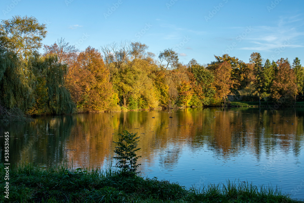 Colorful autumn trees by the pond on a sunny day Colorful autumn trees by the pond on a sunny day