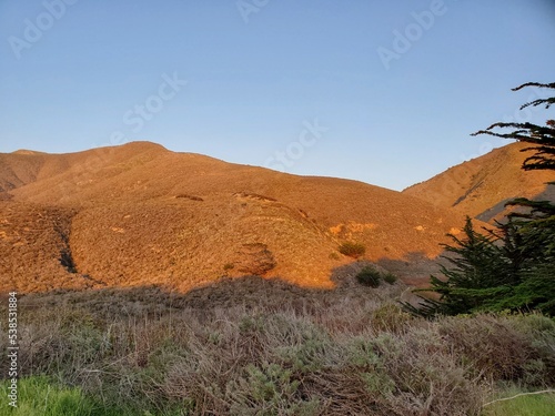 landscape in the desert