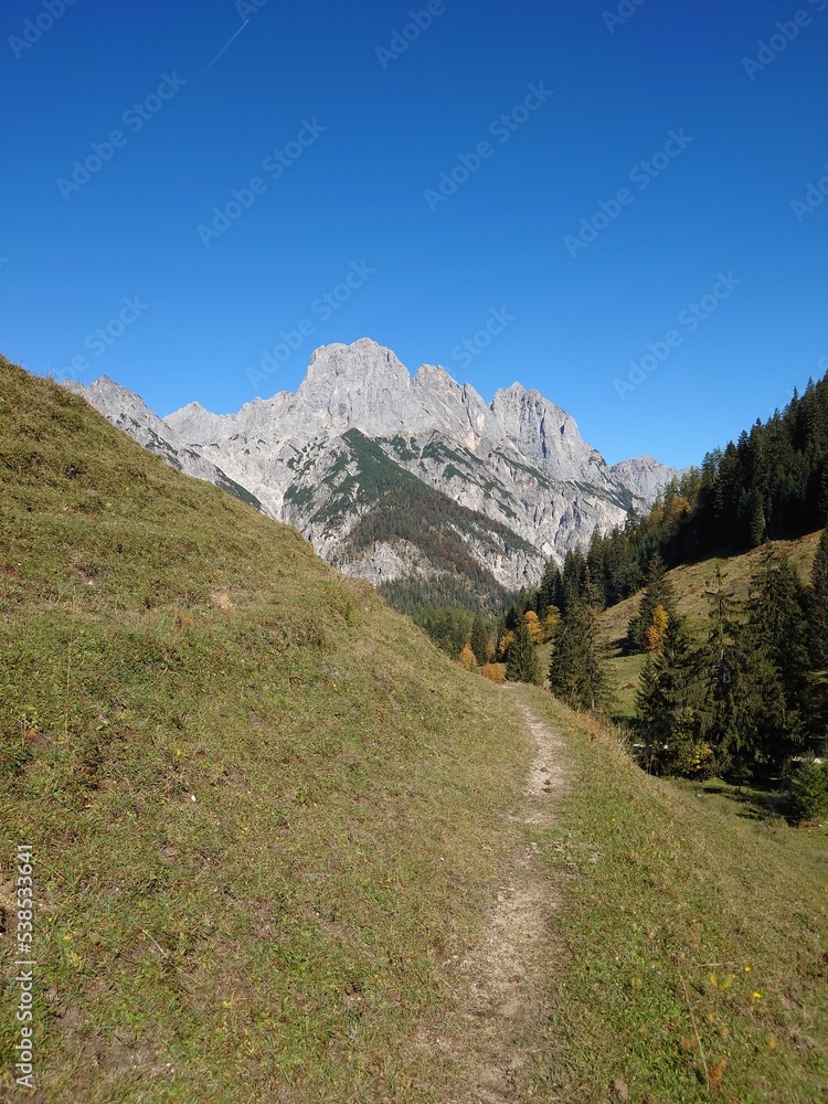 Auf der Alm Auf der Alm
