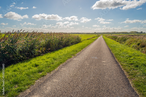 Endlessly long narrow country road in a Dutch polder landscape. On either side of the road is grass and flowering reed plants. It is a sunny day at the beginning of the autumn season.