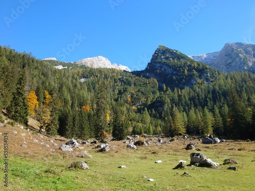 Auf der Alm photo