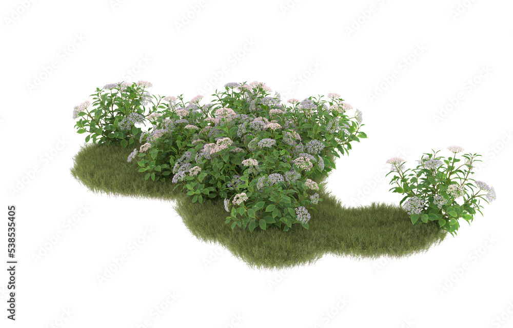 Obraz premium Field of grass with flowers on transparent background. 3d rendering - illustration