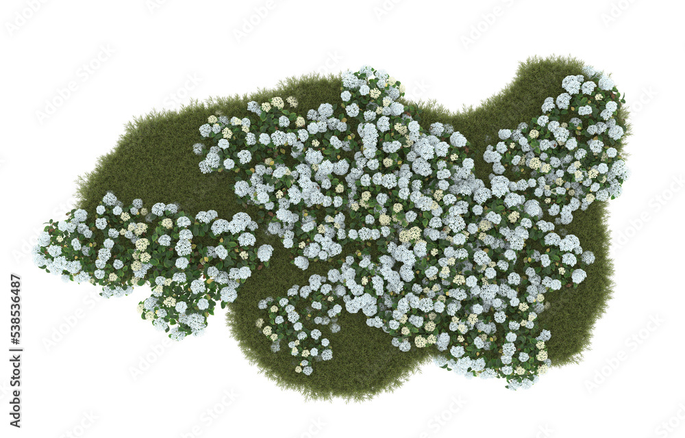 Field of grass with flowers on transparent background. 3d rendering - illustration Field of grass with flowers on transparent background. 3d rendering - illustration