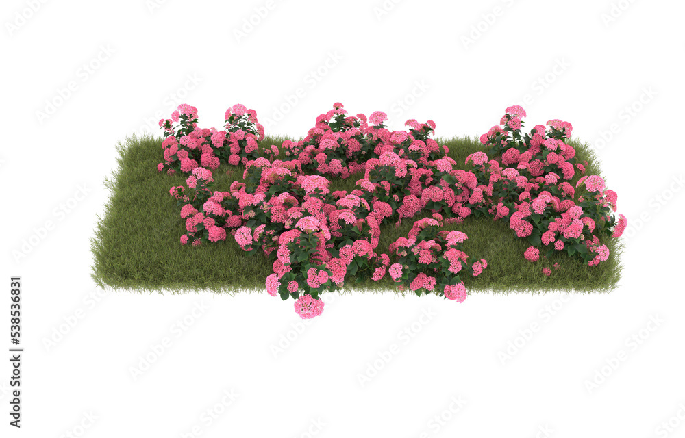 Fototapeta premium Field of grass with flowers on transparent background. 3d rendering - illustration