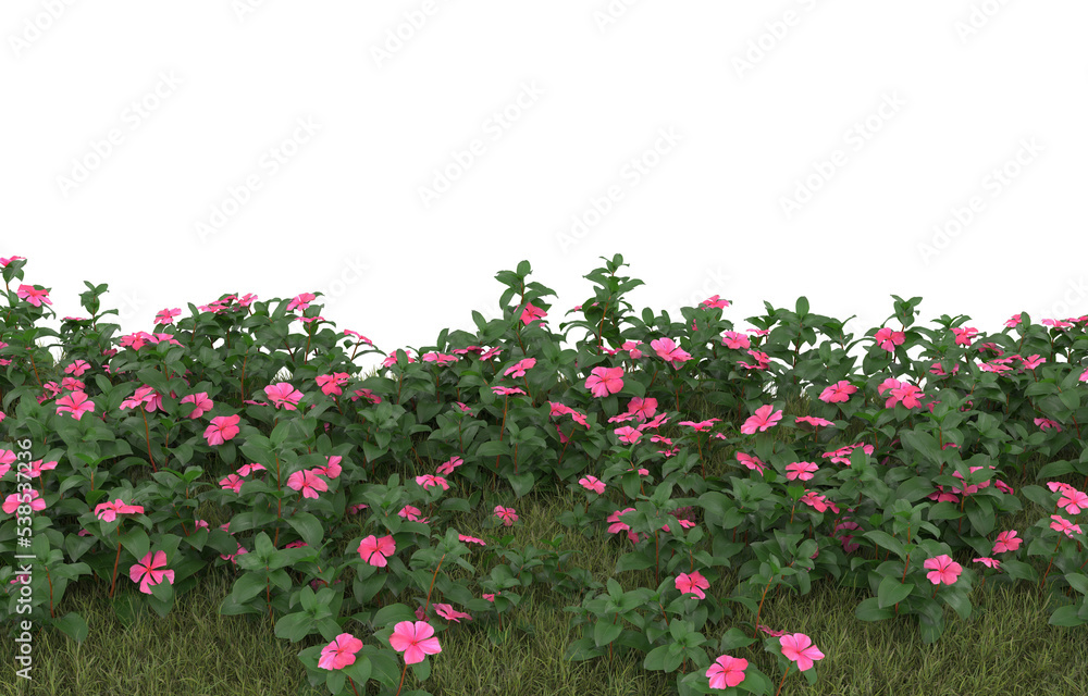 Field of grass with flowers on transparent background. 3d rendering - illustration Field of grass with flowers on transparent background. 3d rendering - illustration