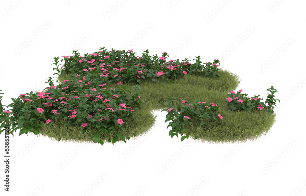 Fototapeta premium Field of grass with flowers on transparent background. 3d rendering - illustration