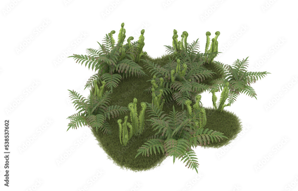 Field of grass with flowers on transparent background. 3d rendering - illustration Field of grass with flowers on transparent background. 3d rendering - illustration