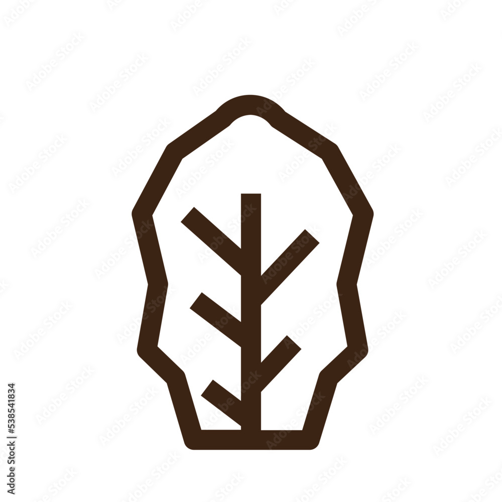 Fototapeta premium cabbage cook food ingredient lettuce vegetable icon