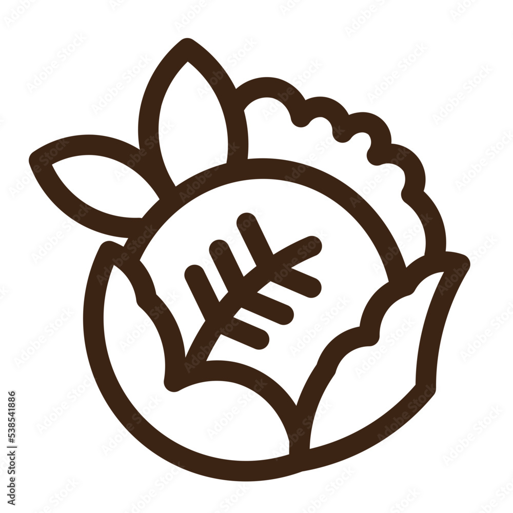 Fototapeta premium cabbage crop food vegetable icon