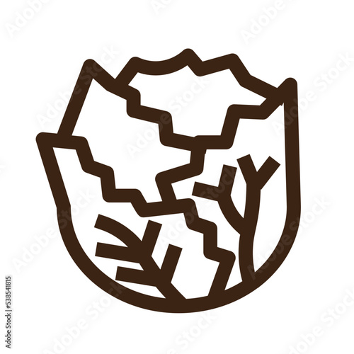 cabbage cole kale lettuce vegetable icon