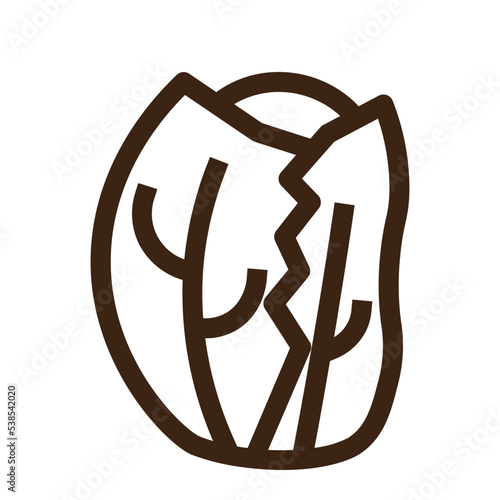 cabbage food fruit grocery store meat vegetable icon