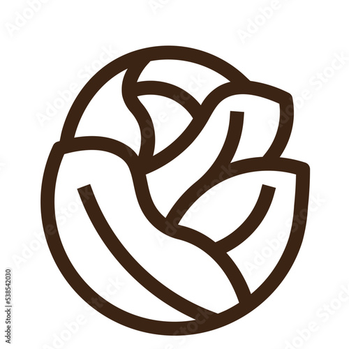 cabbage food fruit grocery store meat vegetable icon