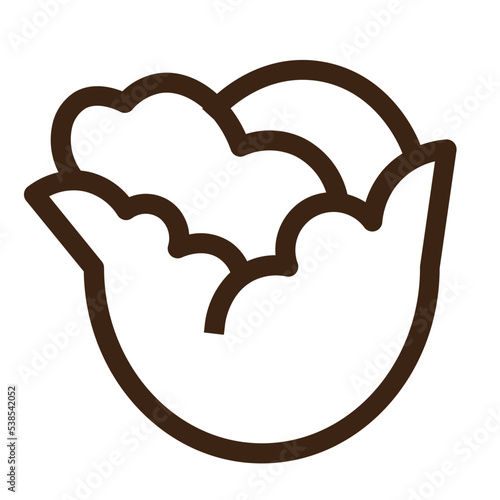 cabbage food gastronomy salad vegetable icon