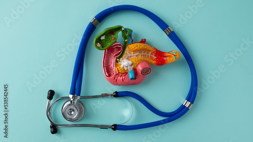 pancreas and stethoscope lies on a blue background photo