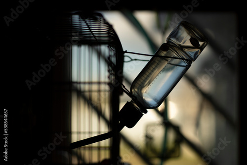 Drinking bottle for hamster. Rodent cage. Container with water for pet. Water for animal.