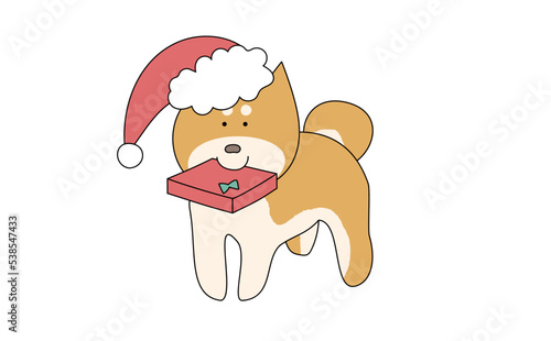 サンタのコスプレをした柴犬