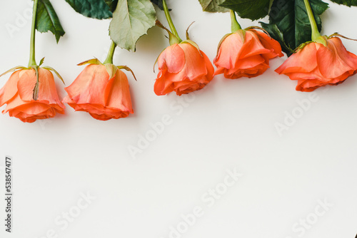 Orange roses on a white background. Bouquet of roses.