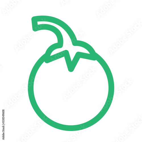 chilli garden hot paprika pepper vegetable icon