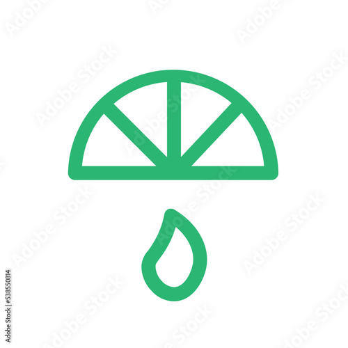 citrus fruit juice lemon lime vegetable orange icon