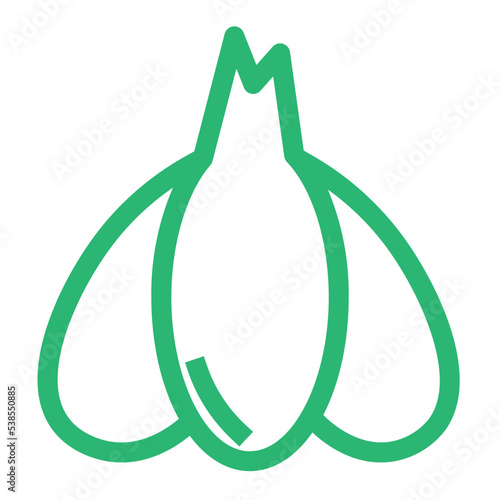 clove food fresh garlic pungent vegetable icon