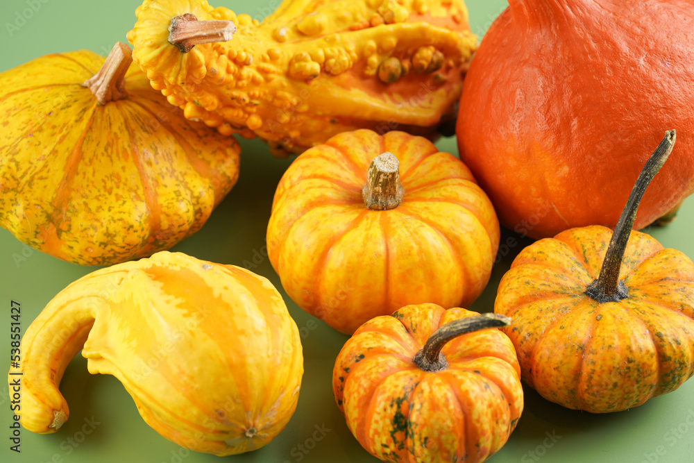 Several orange and yellow hokkaido pumpkins of different sizes and forms on a bright green surface filling the frame Several orange and yellow hokkaido pumpkins of different sizes and forms on a bright green surface filling the frame