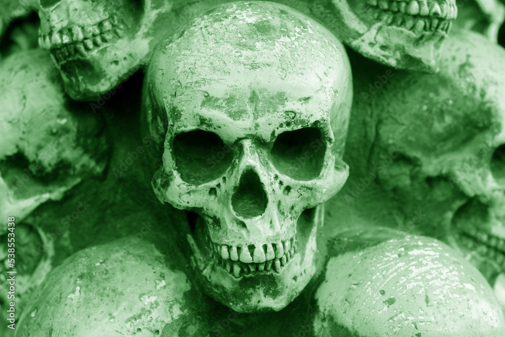 Photo of skulls against background of other skulls Photo of skulls against background of other skulls