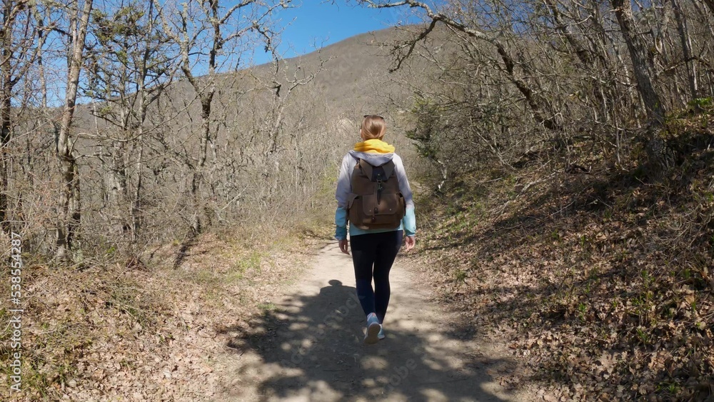 A woman traveler with a large backpack walks along a forest trail. Travel and hiking concept. A woman traveler with a large backpack walks along a forest trail. Travel and hiking concept.