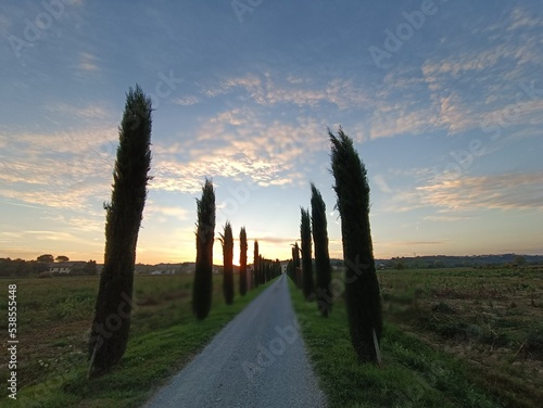 sunset over the tuscan road