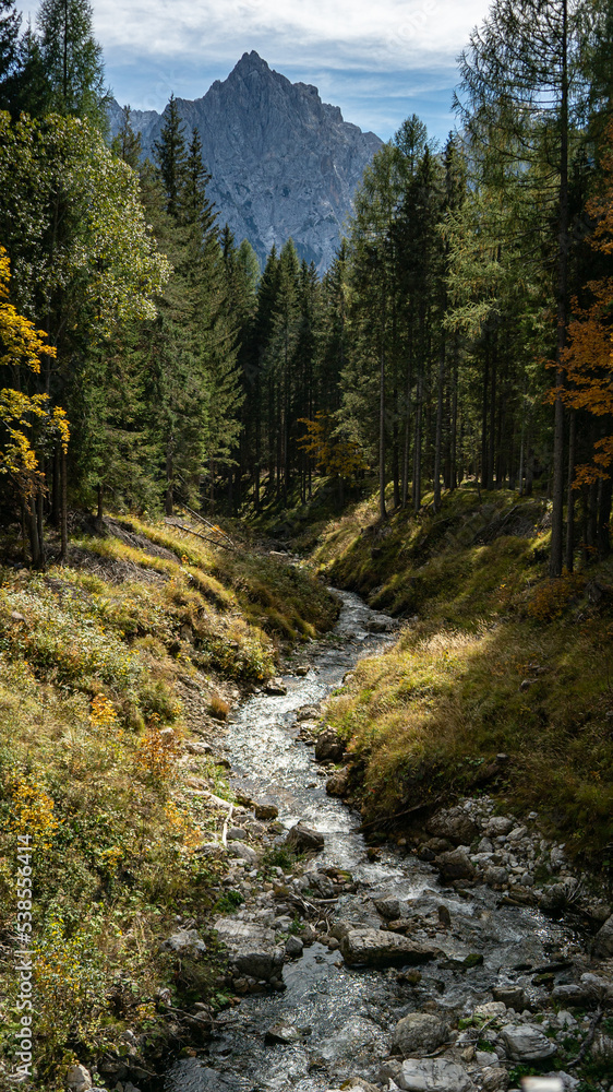 mountain river in the forest