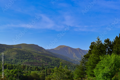 landscape in the summer