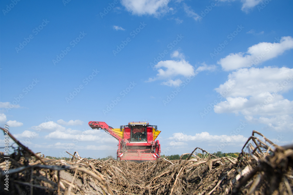 Obraz premium potato harvester