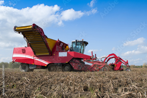 potato harvester photo