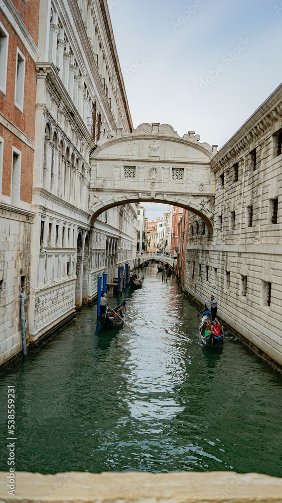 Fototapeta premium the view from Ponte della Paglia with gondolas