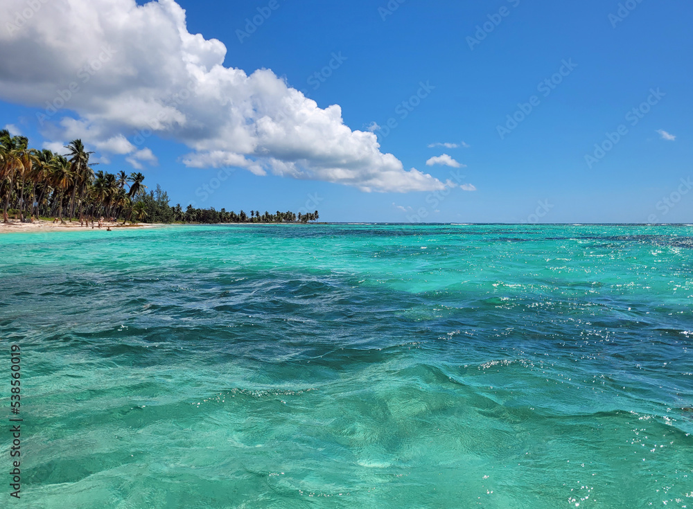 Fototapeta premium tropical island saona in the dominican republic