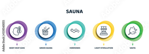 editable thin line icons with infographic template. infographic for sauna concept. included body heat gain, green sauna, hormones, light stimulation, vasta icons.