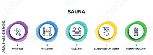 editable thin line icons with infographic template. infographic for sauna concept. included arterioles, roman bath, caldarium, cardiovascular system, aroma stimulation icons.