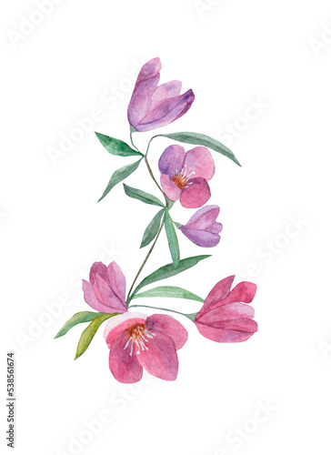 Fototapeta Naklejka Na Ścianę i Meble -  Watercolor flowers. A twig with buds watercolor. Purple flowers.